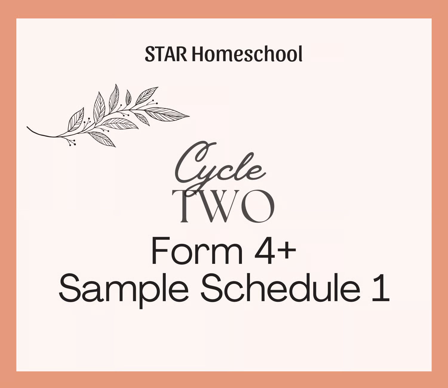 Cycle 2 Form 4+ Sample Schedule 1