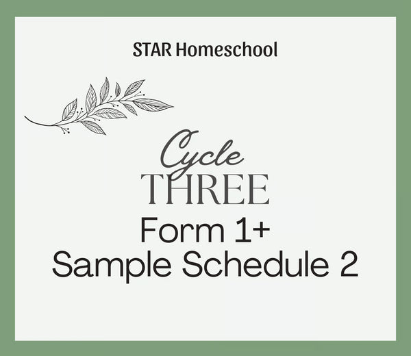 Cycle 3 Form 1+ Sample Schedule 2