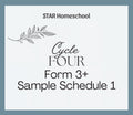 Cycle 4 Form 3+ Sample Schedule 1
