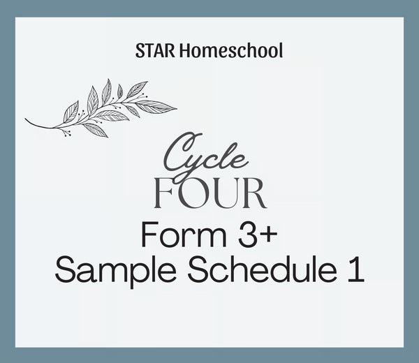 Cycle 4 Form 3+ Sample Schedule 1